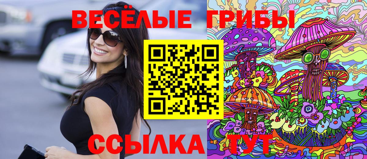 Галлюциногенные грибы Cubensis  Псилоцибиновые грибы MAGIC MUSHROOMS  Артёмовский  что такое наркотик  Вход с VPN 